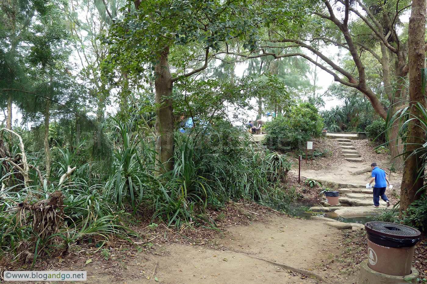 Lantau Trail 9 - Lo Kei Wan Campsite